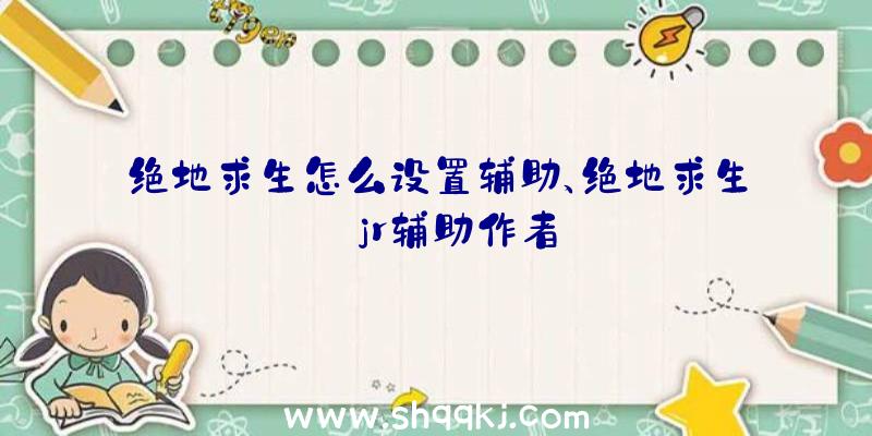 绝地求生怎么设置辅助、绝地求生